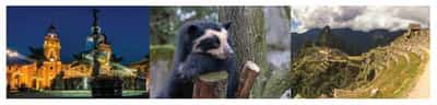 Image for PADDINGTON BEAR’S PERU WITH DIALAFLIGHT