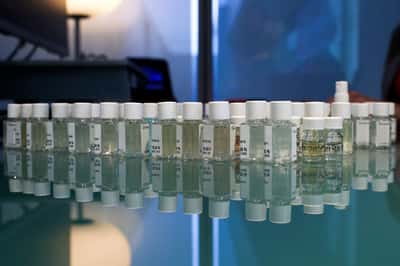 Image for Givaudan weighs options for natural ingredients unit to restore growth in flavours