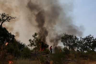 Image for Record wildfires burn more than 1 million hectares of EU land this year
