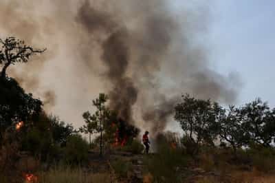 Image for Record wildfires burn more than 1 million hectares of EU land this year