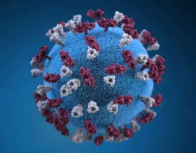 Image for UK health agency warns ‘very real risk’ measles outbreak spreads