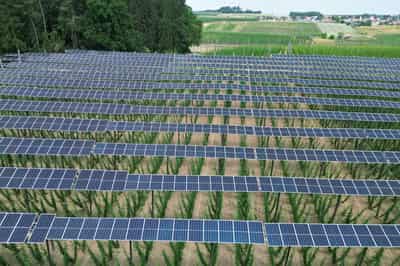 Image for EU plans 'made in Europe' rules for public purchases of green tech