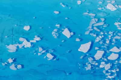 Image for Exclusive: World Bank revises climate policy but stops short of halting fossil fuel funding
