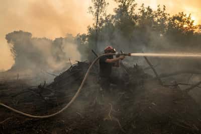 Image for Serbia turns to Russia to help fight wildfires