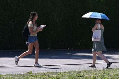 Image for Germany, Poland poised for soaring temperatures as heatwave moves east