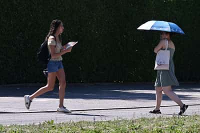 Image for Germany, Poland poised for soaring temperatures as heatwave moves east