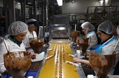 Image for Euro zone Nov factory activity fell sharply; outlook gloomy, PMI shows