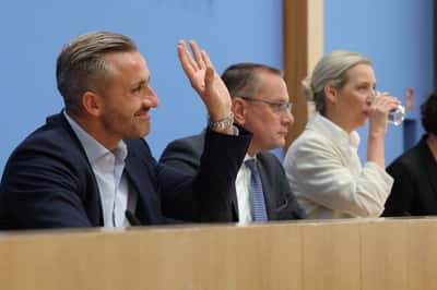 Image for Trump attributes state election win of Germany's far-right AfD to immigration rules