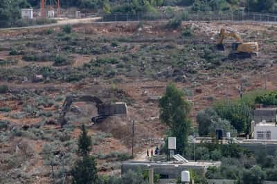 Image for Israeli bulldozers smash Palestinian olive trees ahead of annual harvest