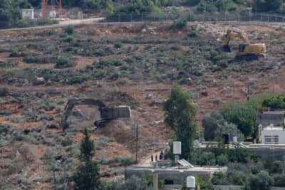 Image for Israeli bulldozers smash Palestinian olive trees ahead of annual harvest