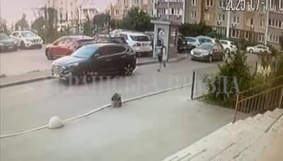 Image for Ukrainian spy colonel gunned down in Kyiv, assailant flees