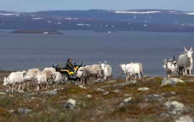 Image for Climate change threatens age-old indigenous food systems, says UN