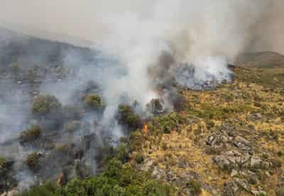 Image for Firefighter injured in Portugal blaze as crew flees wall of fire
