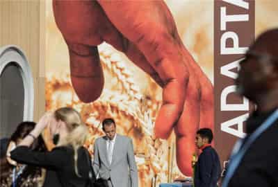 Image for At COP27, climate ‘loss and damage’ funding makes it on the table
