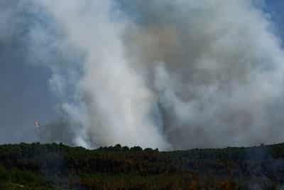 Image for Wildfire threat moving east, threatening Italy and Greece, EU says