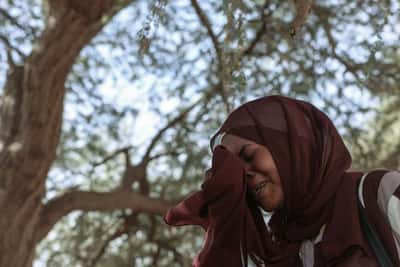 Image for Survivors of al-Fashir attack describe brutal escape from Sudan