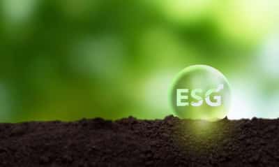 Image for Making money and saving the human race: ESG investing comes of age
