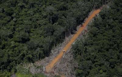 Image for Brazil’s largest indigenous reservation overrun by illegal gold mining, says report