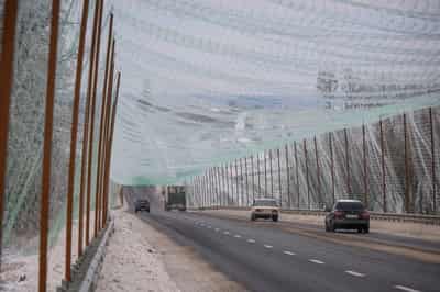 Image for Italian bill offers incentives for fishing nets to shield Ukraine from drones