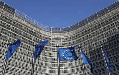 Image for Eleven countries demand EU weakens deforestation law further, document shows