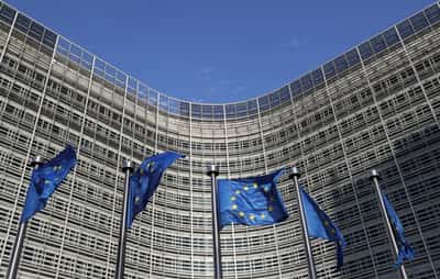 Image for Eleven countries demand EU weakens deforestation law further, document shows