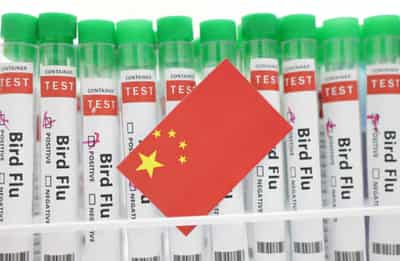 Image for China records world’s first human death from H3N8 bird flu -WHO