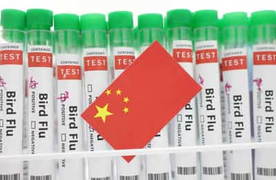 Image for China records world’s first human death from H3N8 bird flu -WHO