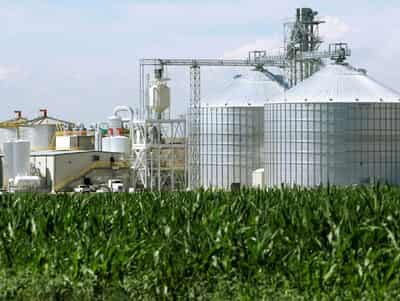 Image for Analysis-Biofuels back in vogue as Iran war triggers oil price surge