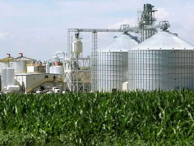 Image for Analysis-Biofuels back in vogue as Iran war triggers oil price surge