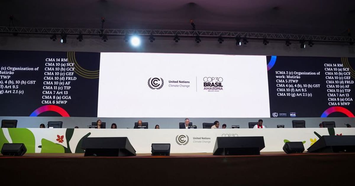 COP30 Climate Summit: Impact on Forests & Indigenous Rights | Global ...