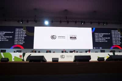 Image for Analysis-What the COP30 climate summit in the Amazon delivered for forests and Indigenous people
