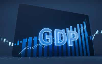 Image for Understanding GDP: A Global Perspective on Economic Health