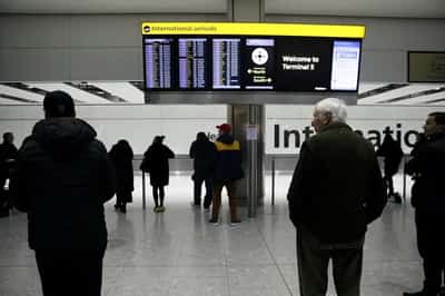 Image for Business travel emissions drop as many firms fly less -survey