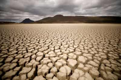 Image for Ride a Green Swan: central banks grapple with climate risk