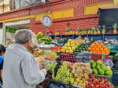 Image for World food prices reach 19-month high in November, UN says
