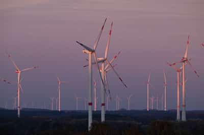 Image for Europe commits to wind energy expansion despite Trump criticism, draft shows