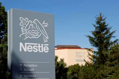 Image for Nestle to stop sourcing from Indonesian palm oil producer AAL