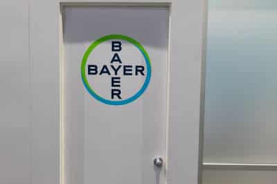 Image for Bayer posts unexpected gain in adjusted profit on seed demand