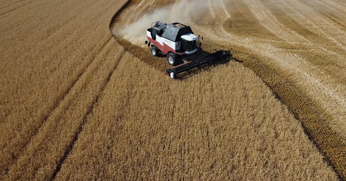 Russia halts Don-Azov channel shipping, affecting grain trade, after Ukraine attacks