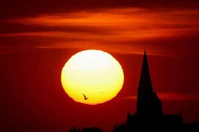 Image for Heatwave scorches Europe; health warnings issued