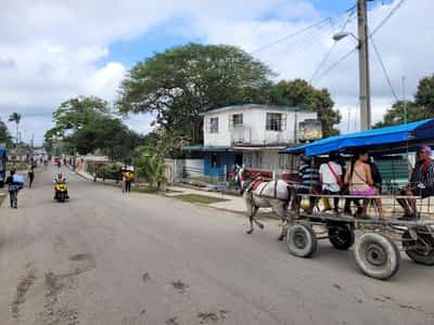 Image for Cuba concludes release of 553 prisoners following Vatican-brokered deal