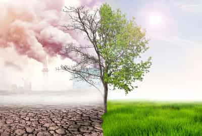 Image for Deloitte research reveals inaction on climate change could cost the world’s economy US$178 trillion by 2070