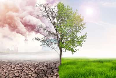 Image for Deloitte research reveals inaction on climate change could cost the world’s economy US$178 trillion by 2070