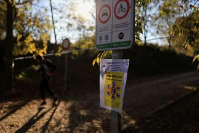 Image for EU vets assess Barcelona swine fever outbreak as cases rise to nine