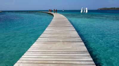 Image for Trees or tourists? Jamaica&#8217;s COVID recovery push threatens green aims