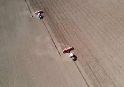 Image for Confusion over documents halts Ukrainian rapeseed, soybeans exports, union says