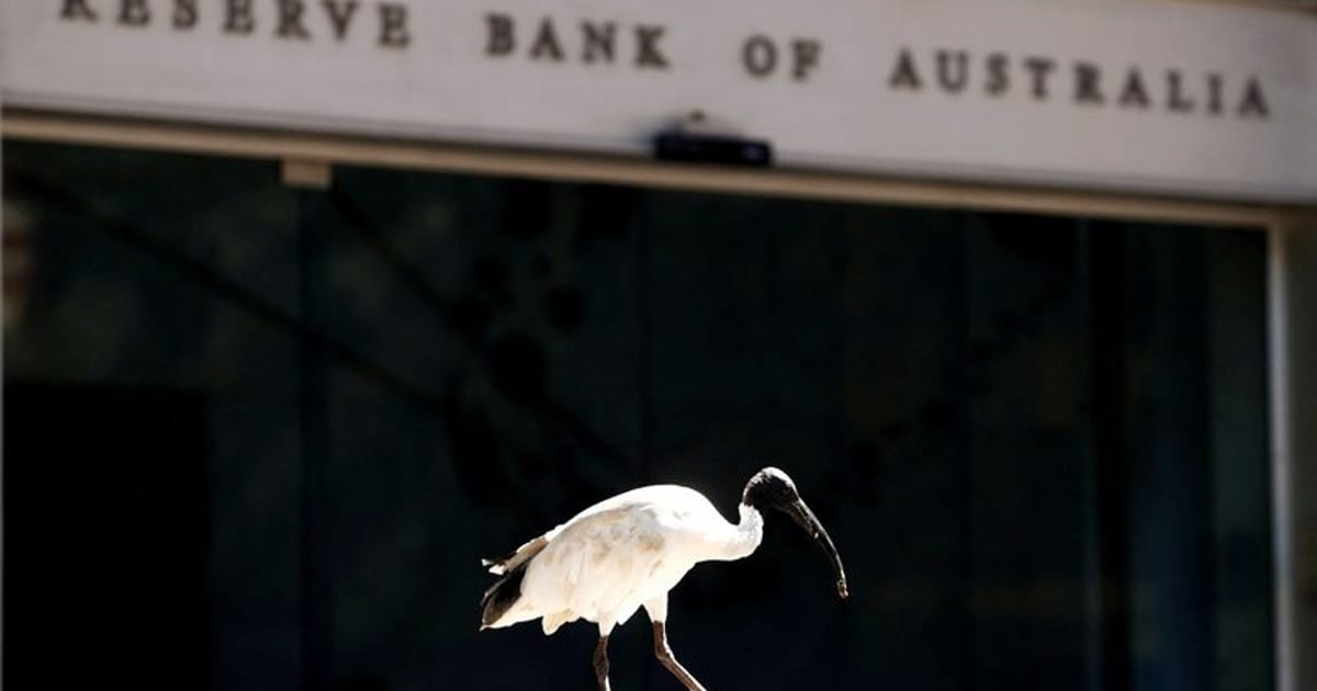RBA's Policy Changes: Understanding the New Monetary Board
