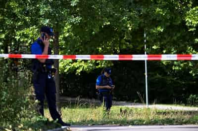 Image for Swiss rave shooting 'lone perpetrator' handed himself in to police