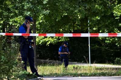 Image for Swiss rave shooting 'lone perpetrator' handed himself in to police