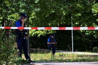 Image for Swiss rave shooting 'lone perpetrator' handed himself in to police
